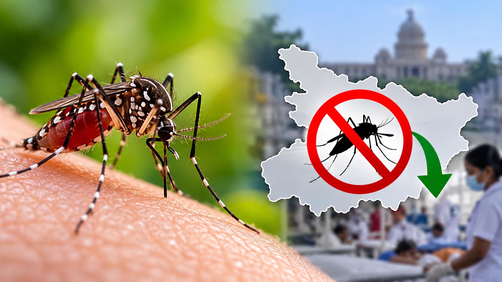Dengue Update: बिहार में डेंगू का असर हुआ कम, शून्य मौत के साथ पिछले साल से काफी घटे मामले