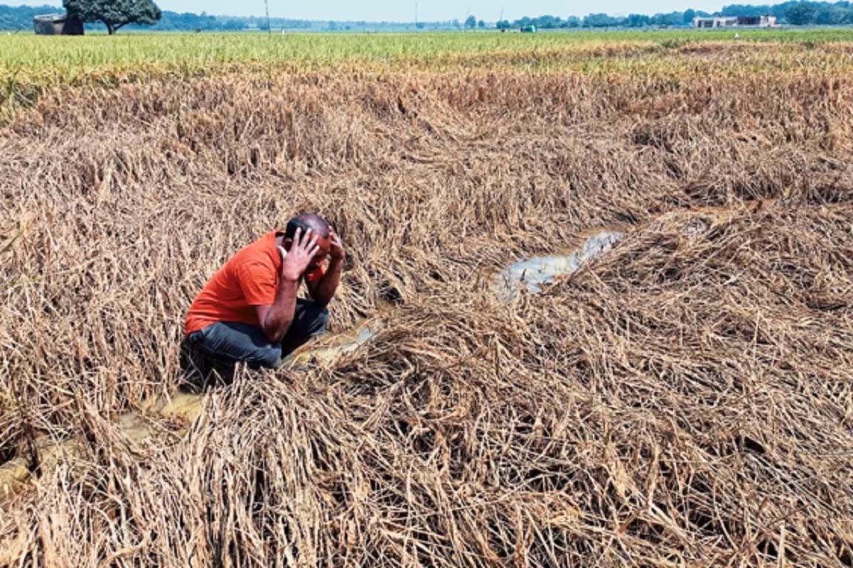 बस्तर में बाढ़ का कहर, 300 से ज्यादा गांव प्रभावित; फसल नुकसान पर किसानों को मिलेगा मुआवजा