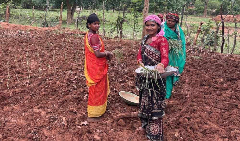 लेमन ग्रास की खेती से महक रही आत्मनिर्भरता, GPM की महिलाएं ‘लखपति दीदी’ बनने की राह पर