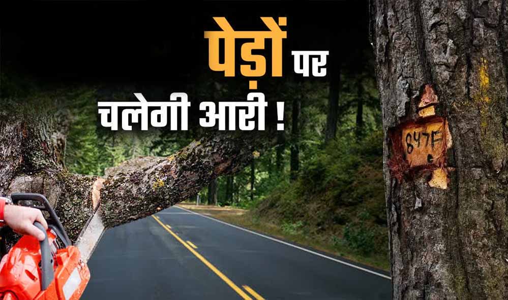भोपाल में 2.89 लाख पेड़ों पर मंडराया संकट! 791 किमी सड़क नेटवर्क के प्रस्ताव से विशेषज्ञ चिंतित