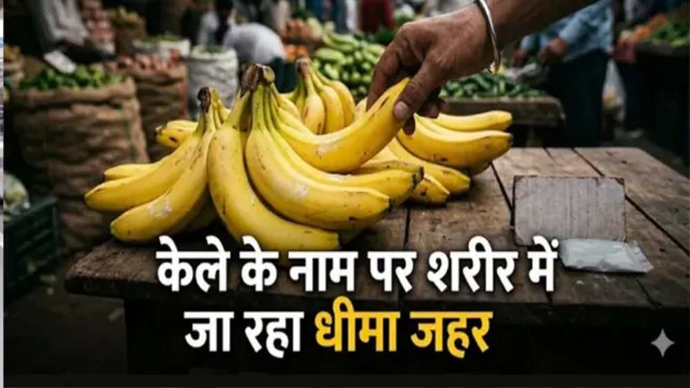 पटना में नवरात्र के दौरान केले की मांग बढ़ी, जानें कैसे करें अच्छे और सुरक्षित केले की पहचान