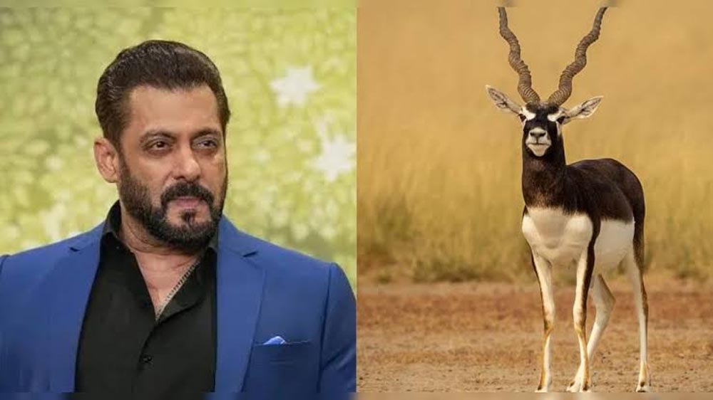 ‘काला हिरण’ फिल्म विवाद में सलमान खान से जवाब तलब, दिल्ली हाईकोर्ट में फिर गरमाया