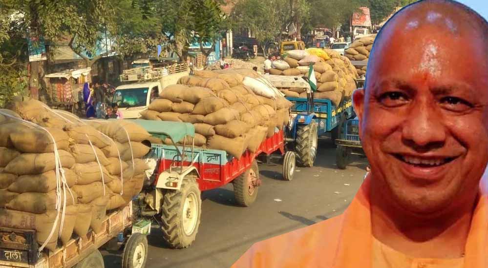 योगी सरकार ने बढ़ाया धान खरीद का लक्ष्य, 4,500 केंद्रों पर होगी खरीद; किसानों को मिलेगा बढ़ा MSP
