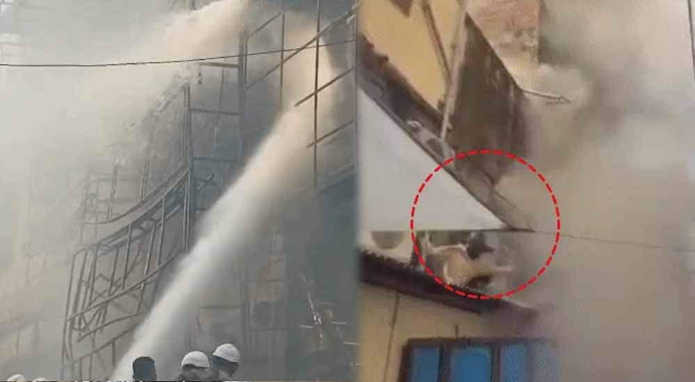 न्यू मार्केट में आग बुझाने में देरी, 400 रेहड़ियों के अतिक्रमण से दमकल का रास्ता रुका