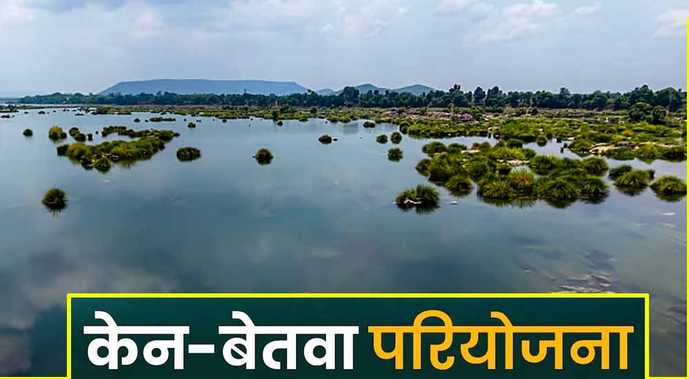 केन-बेतवा परियोजना से पन्ना टाइगर रिजर्व को खतरा? हाईकोर्ट ने केंद्र से मांगी पर्यावरणीय रिपोर्ट