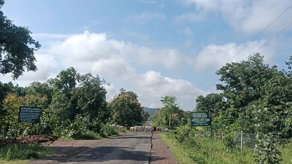 छत्तीसगढ़ में मानसून की विदाई का काउंटडाउन, बढ़ने लगा दिन का पारा