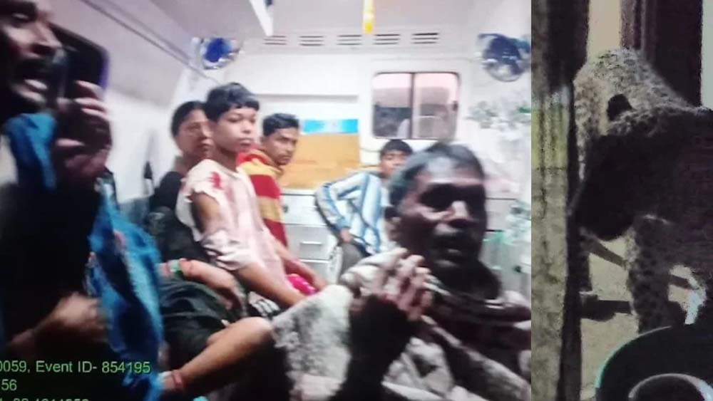छत्तीसगढ़ में तेंदुए की दहशत, घर में घुसकर 6 लोगों को बनाया निशाना; 3 गंभीर