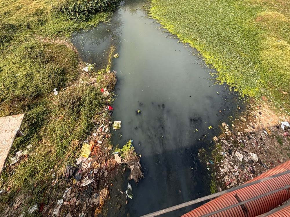 अरपा नदी प्रदूषण पर हाईकोर्ट का सवाल, 70 नालों के लिए सिर्फ 4 STP क्यों?