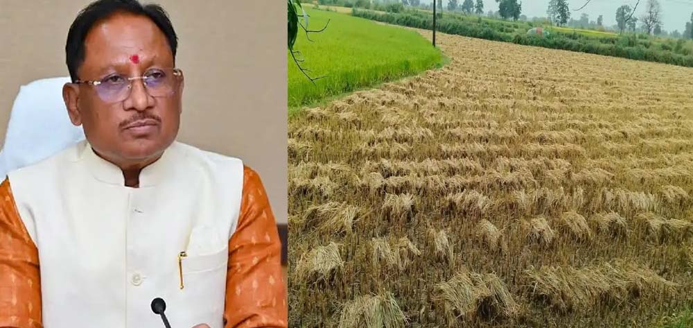 चक्रवात ‘अर्नब’ से प्रभावित किसानों को राहत, CM साय ने शीघ्र मुआवजा देने के दिए निर्देश
