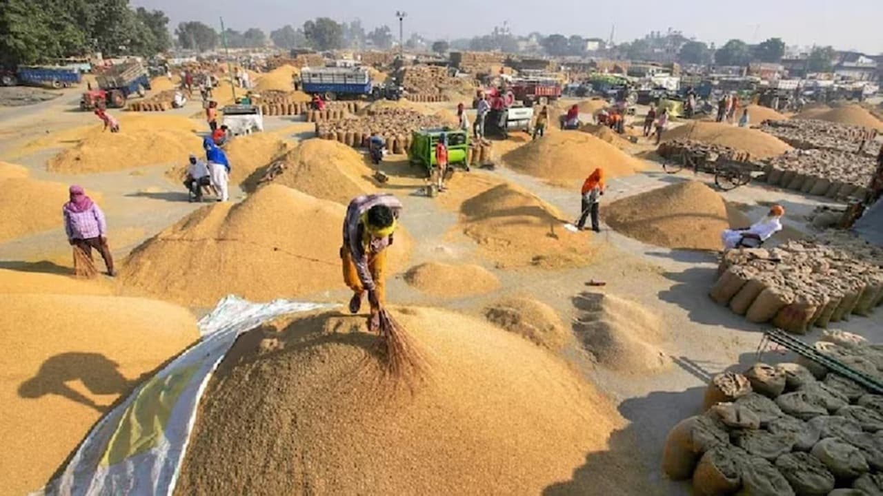 पूर्वी उत्तर प्रदेश, लखनऊ- रायबरेली व उन्नाव में पहली नवंबर से होगी धान खरीद