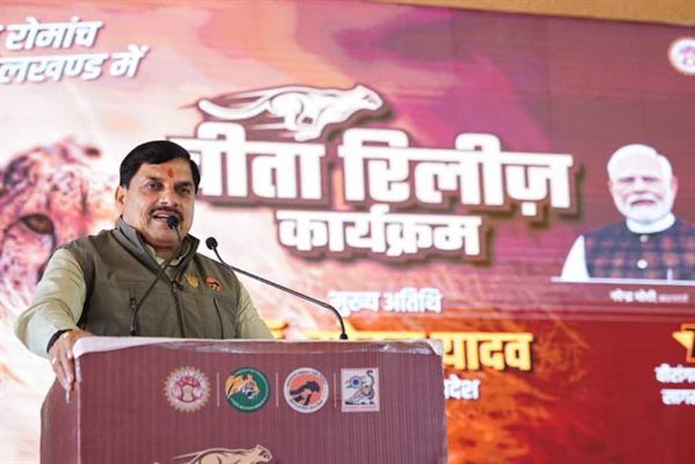 मध्यप्रदेश की धरती पर बुंदेलखंड में चीतों को मिला तीसरा ठिकाना
