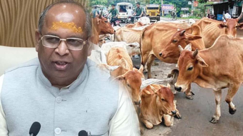 हरियाणा में पशु कल्याण बोर्ड को मिली नई टीम, श्रवण गर्ग सहित 6 सदस्य नियुक्त