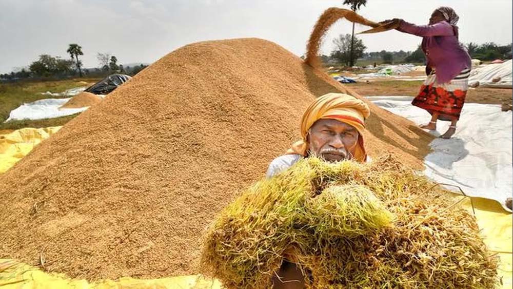 धान की फसल भीगने से किसानों में रोष, हरियाणा के कृषि मंत्री के सामने जताया विरोध