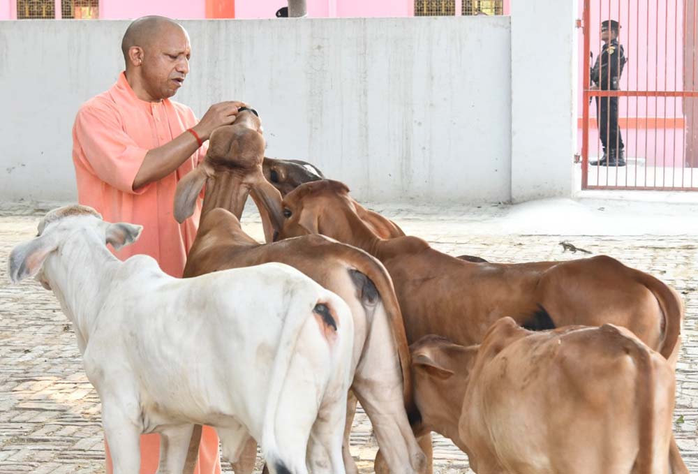 सीएम योगी के विजन के अनुरूप गो आधारित उत्पादों को बाजार से जोड़ने की तैयारी