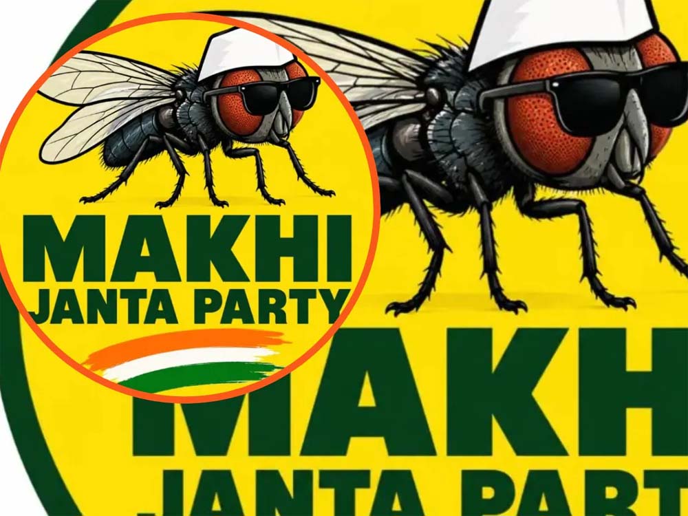 ‘कॉकरोच’ के बाद अब ‘मक्खी’ की चर्चा, MJP हुई वायरल